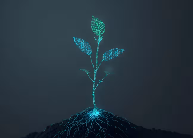 A growing plant made out of programming code